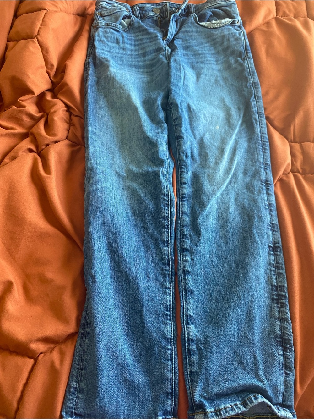 American Eagle Outfitters Light Blue Flare Jeans mens